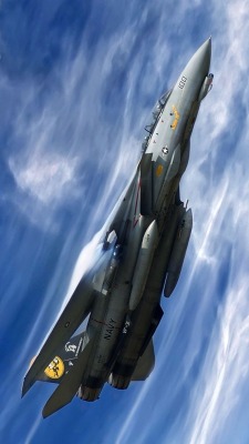 rocketman-inc:  F14 Tomcat
