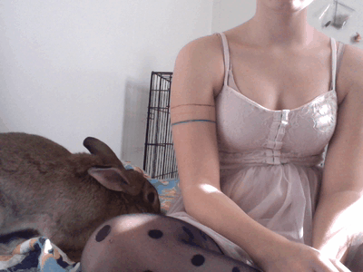 princess-peachie:  buglike-empress:  i get to go back to icarus today!  Flemish giants are such sweeties <3 