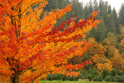 There is nothing quite like an autumn day