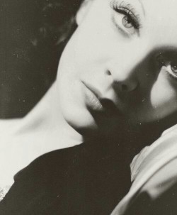 xxhorace:  Vivien Leigh 