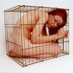 macfalkner:  A tight cage is a wonderful thing. It can be used
