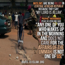 invitetoislam:  Muslims are being killed in Central African Republic