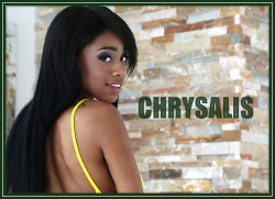 I published a new story today, entitled “Chrysalis”.