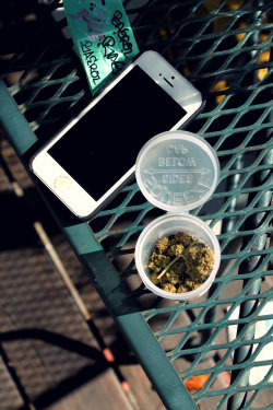 kush4brkfst:  duh dank