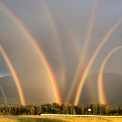 complicatedslut:  earthpictureshere:  Eight Rainbows! WOW Lehigh