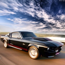 dream-about-cars:  Sweet ‘Eleanor’ GT500