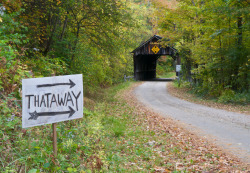 archatlas:  Covered Bridges James Walsh