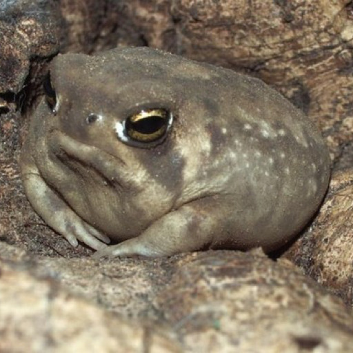 yourfavgoblin-deactivated202111:Yet another night of not being