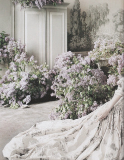 rosettes:  Among the freshly gathered lilacs, Guinevere wears
