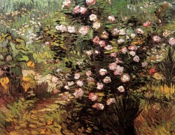 vincentvangogh-art:Rosebush in Blossom, 1889Vincent van Gogh