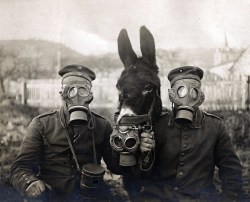 Soldiers circa 1916-17 wearing M1915 Gummimask (gas masks) with