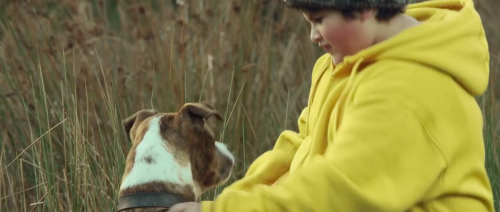 hirxeth: “We’re offering ten thousand dollars to anyone who can capture them, dead or alive… Oh. Alive. They should be alive. Hunt for the Wilderpeople (2016) dir. Taika Waititi 