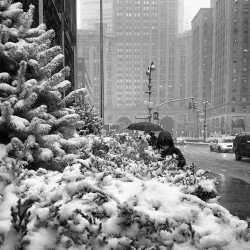 alwaysbeenmad:  Park Avenue and 48th Street… Winter… Still