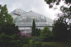 golden-snapshots:lincoln park conservatory, chicago