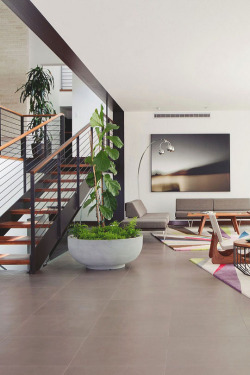 livingpursuit:  San Lorenzo Residence by Mike Jacobs Architecture