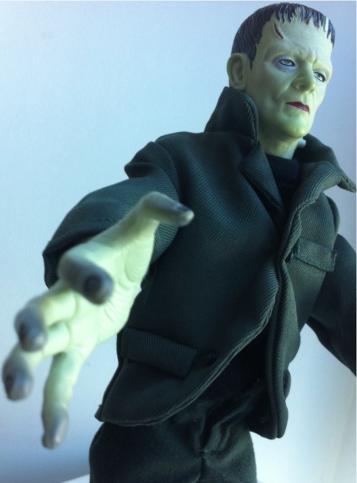 Frankenstein’s Monster figure, from the Universal Studios Monsters Collection. From a charity shop in Nottingham.