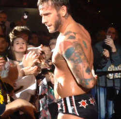 cmpunkarmy:  Credit to amandacourtney01. 