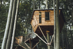 treehauslove:  Robin’s Nest Treehouse Hotels. A secluded getaway