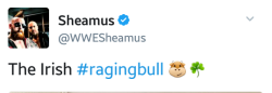 deidrelovessheamus:  The Irish #ragingbull 🐮🍀  Look at