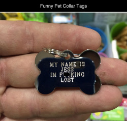 tastefullyoffensive:  Funny Pet Collar Tags (photos via Bored