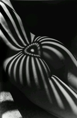 flesh4fantasies.tumblr.com/post/120839563923/