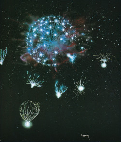 martinlkennedy:  John Lomberg - Seeds 