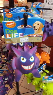 fethryism:  knockoffbootlegs:  I didn’t choose the dog life…