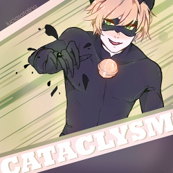 coccinellu:  Chat Noir 