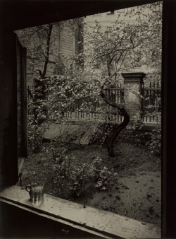 last-picture-show: Josef Sudek, The Window of my Studio - Spring