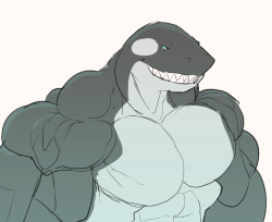 ripped-saurian:  killer whale/shark hybrid doodlebuff sea creature