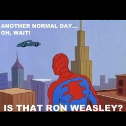 #spiderman #harrypotter #marvel