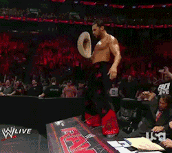 wrasslormonkey:  Mr. Fandango, are you trying to seduce me? (by