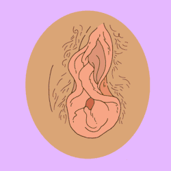 puroblahblahblah:   Mi vagina, mis reglas 👌  