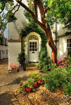 bonitavista:  East Sussex, England photo via devon 