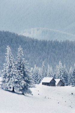 sublim-ature:  Carpathian Mountains, UkraineLeonid Tit 