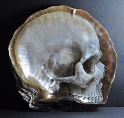 obsessedwithskulls:  Beautiful skull carving!http://inhabitat.com/filipino-artist-carves-intricate-skulls-into-mother-of-pearl-shells/