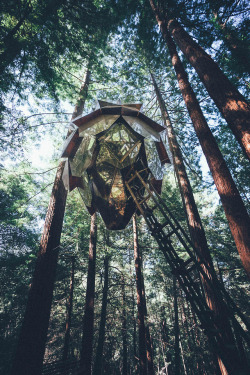 cabinporn: The Pinecone Treehouse, Santa Cruz, California Built