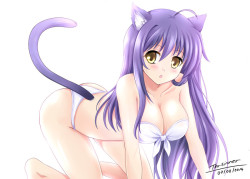 getyournekoshere:  Follow for more nekos Source 