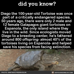 appel-likes:  jacknurse:  did-you-kno:  Diego the 100-year-old