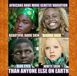 darvinasafo:  Facts   Yep, more genetic variation among Africans