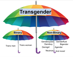 transgenderteensurvivalguide: Lee says: The word “transgender”