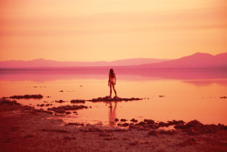 ryanmcginley:  Salton Sea, 2014 