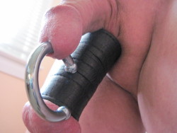0 gauge circular barbell worn with a 4" leather ball stretcher.