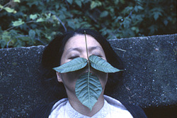 gallowhill:  Reiko Goto - Poison Ivy, 2004