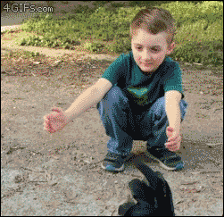 4gifs:  Chicken didn’t recognize her friend with his new haircut.