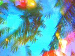 thecurrentseala:  Miami Beach Palms. The Current Sea, 2015.
