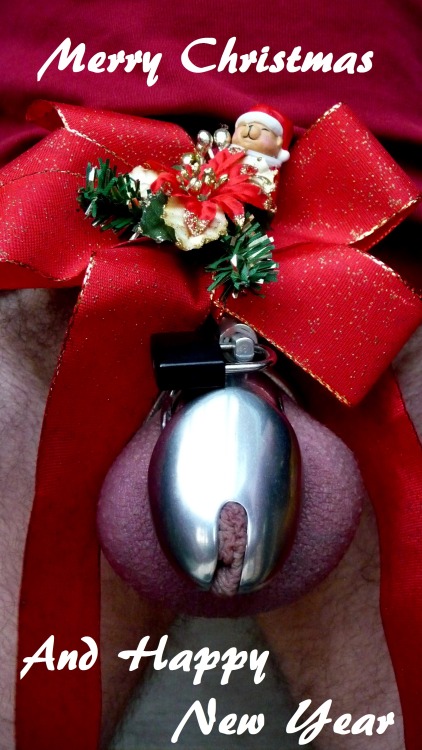 hersubmissivetoy:  pupthorn:  sissyboysub:  wellthatsnicehuh:  singer1940:  Happy Holidays to all of you in Chastity cages! Maybe youâ€™ll get to â€œcomeâ€ next yearâ€¦  Hohoho Merry Lockdown!  Hopefully ill be more locked then unlocked next year:) 