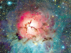 gravitationalbeauty:  The Trifid Nebula from CFHT  