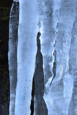 snorl-x:  Ice Sculpture 