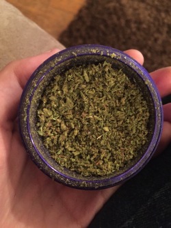 weed-and-kittens:  No filter needed